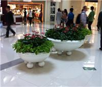 中山全方位綠化與植物租賃服務指南 從風水綠植到園林工程，打造高性價比綠色空間