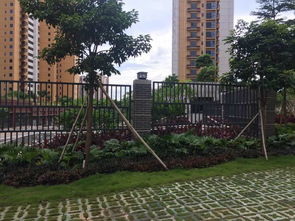 深圳羊臺苑小區(qū)綠化工程 構(gòu)建都市生態(tài)人居典范